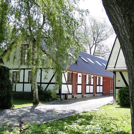 Dyssegaard B&B Skallerup Екстер'єр фото