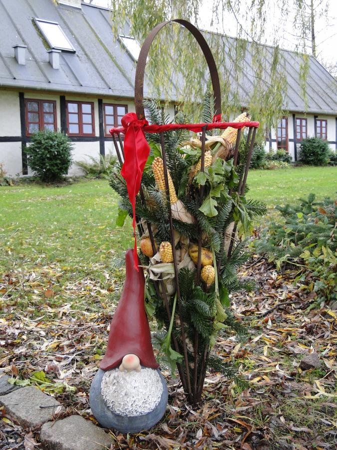 Dyssegaard B&B Skallerup Екстер'єр фото