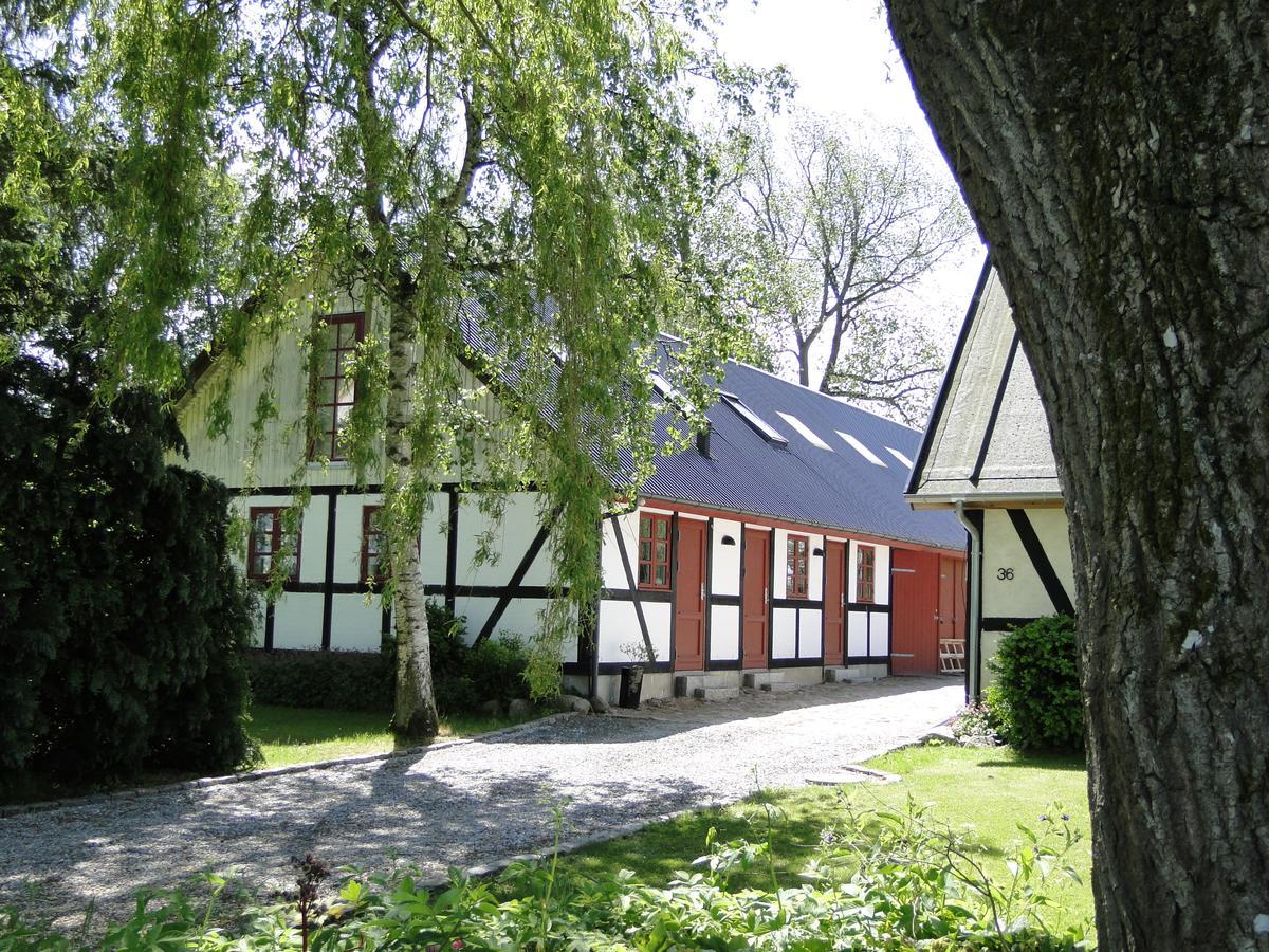 Dyssegaard B&B Skallerup Екстер'єр фото
